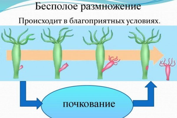 Кракен дарк сайт